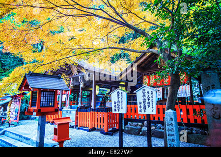 Kyoto, Giappone - 30 Giugno 2014: rosso acero in un giardino giapponese Foto Stock