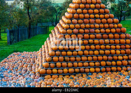 Fattoria di zucche, zucche impilate a forma di piramide Foto Stock