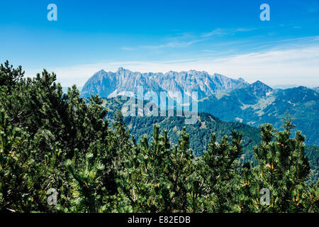 Wilder Kaiser visto dall'Unterberg montagna in Kossen, Tirolo, Austria Foto Stock