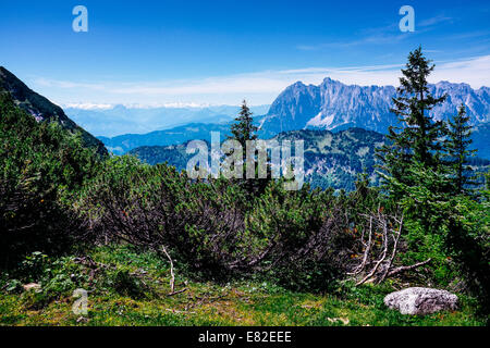 Wilder Kaiser visto dall'Unterberg montagna in Kossen, Tirolo, Austria Foto Stock