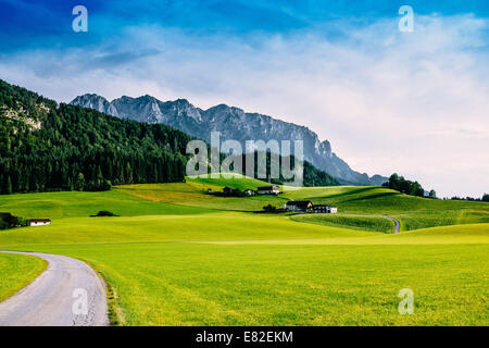 Strada alpina con Zahmer Kaiser in background, Kaiserwinkl, Tirolo, Austria Foto Stock