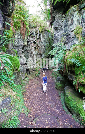 Una donna che cammina in Lud la chiesa vicino a Gradbach nelle colline di scarafaggi Staffordshire Peak District Inghilterra REGNO UNITO Foto Stock