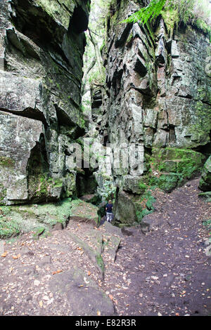 Una donna che cammina in Lud la chiesa vicino a Gradbach nelle colline di scarafaggi Staffordshire Peak District Inghilterra REGNO UNITO Foto Stock