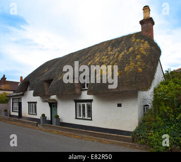 Cottage con tetto in paglia in Nether Wallop, Hampshire, Inghilterra Foto Stock