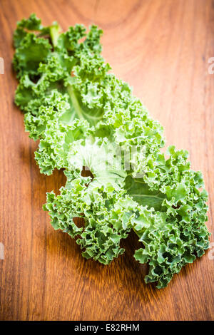 Kale (Brassica oleracea var. Sabellica L. ). Foto Stock