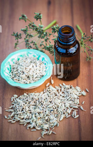 Olio essenziale di finocchio. Foto Stock