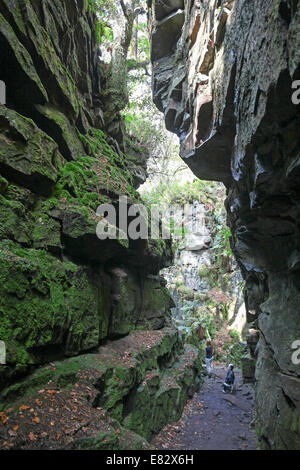 Una donna che cammina in Lud la chiesa vicino a Gradbach nelle colline di scarafaggi Staffordshire Peak District Inghilterra REGNO UNITO Foto Stock