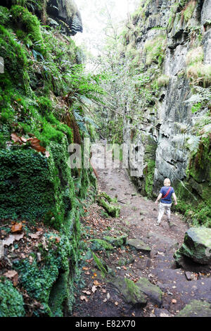 Una donna che cammina in Lud la chiesa vicino a Gradbach nelle colline di scarafaggi Staffordshire Peak District Inghilterra REGNO UNITO Foto Stock