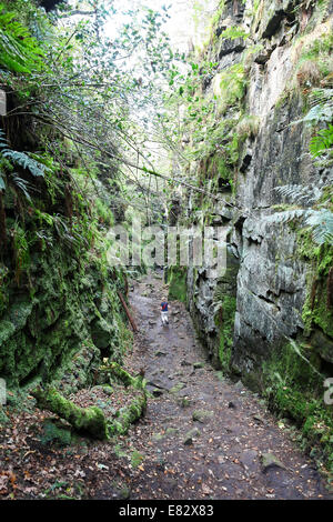 Una donna che cammina in Lud la chiesa vicino a Gradbach nelle colline di scarafaggi Staffordshire Peak District Inghilterra REGNO UNITO Foto Stock