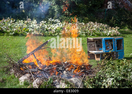 Rifiuti nel fuoco, giardino masterizzazione illegale rifiutare. Foto Stock