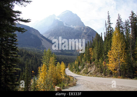 Una pittoresca strada delle Montagne Rocciose, Alberta, Canada Foto Stock