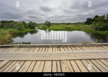 Ampia vista della strada Transpantaneira ponte in legno Panantal zone umide Foto Stock