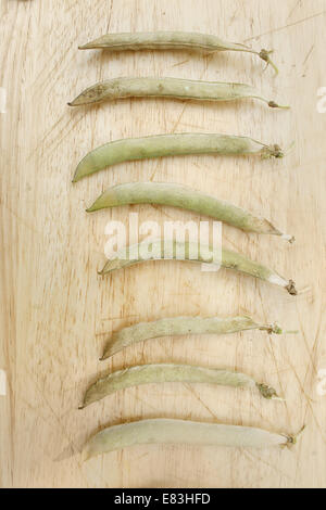 Piselli secchi " Hurst albero verde' pods sul tagliere di legno Pisum sativum Foto Stock