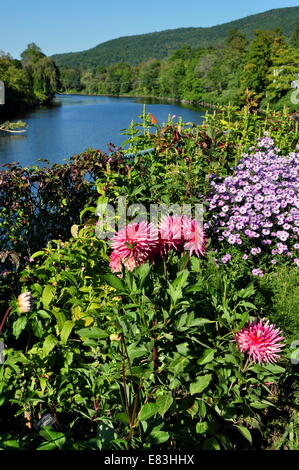 Shelbune Falls, Massachusetts: colorato piante perenni tra cui masse di dalie linea il ponte dei fiori Foto Stock