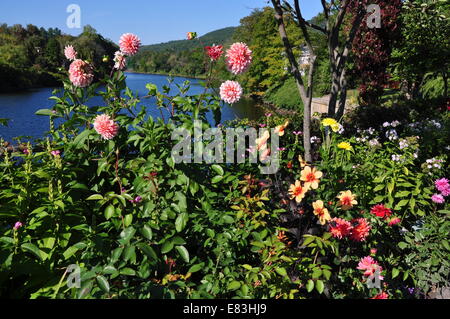 Shelbune Falls, Massachusetts: colorato piante annue comprese masse di dalie linea il ponte dei fiori Foto Stock