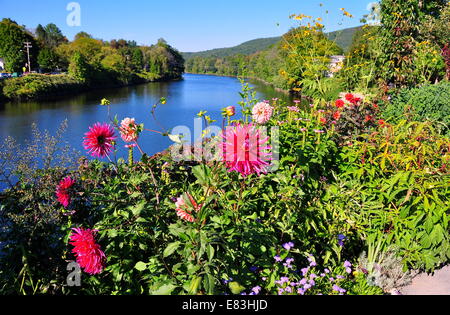 Shelbune Falls, Massachusetts: colorato piante annue comprese masse di dalie linea il ponte dei fiori Foto Stock