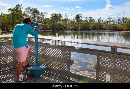 Si affacciano al buco blu stagno sul Big Pine Key in Florida Keys Foto Stock