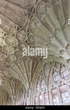 Lo stile gotico vaulting ventola in oriente chiostro, Cattedrale di Gloucester, Gloucestershire, England, Regno Unito Foto Stock