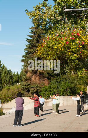 Elk203-6239v Canada, Alberta, Calgary, downtown, Chinatown, tai chi Foto Stock