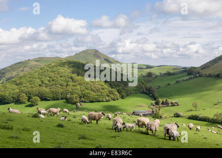 Shropshire sulle colline vicino a Church Stretton con Caer Caradoc e speranza Bowdler colline in lontananza, Shropshire, Inghilterra, Regno Unito Foto Stock