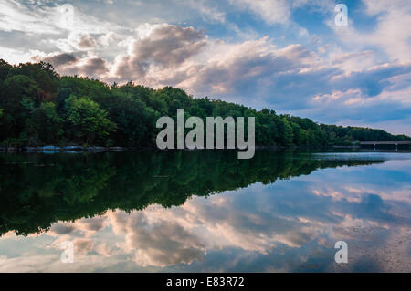 Riflessi di nuvole e alberi nel lago di Marburg, Codorus parco statale, Pennsylvania. Foto Stock