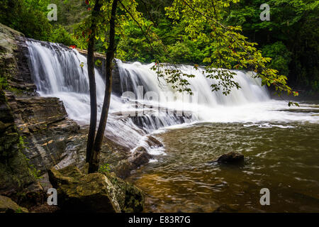 Vista laterale di Hooker cade sul piccolo fiume in Dupont la foresta di stato, North Carolina. Foto Stock