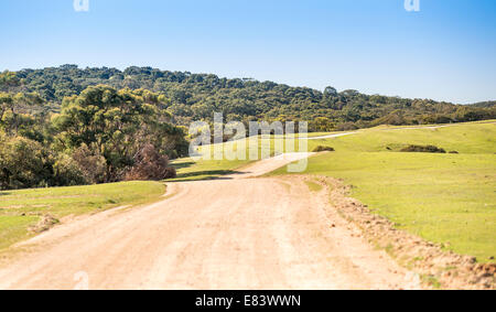 Ampia strada di campagna off di avvolgimento nella distanza in Sud Australia Foto Stock