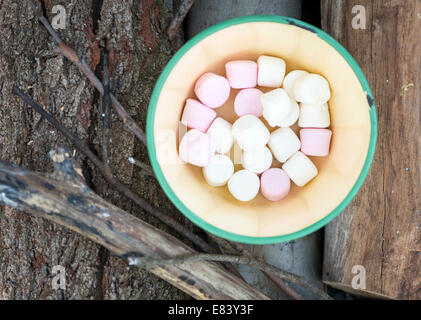 Marshmallows in rosa e bianco in un vecchio vaso sulla legna da ardere fuori camping Foto Stock