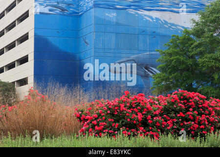 Wyland murale su garage, Norfolk, Virginia, Stati Uniti d'America Foto Stock