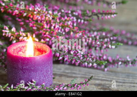 Heather su assi di legno astratto sfondo floreale concept Foto Stock