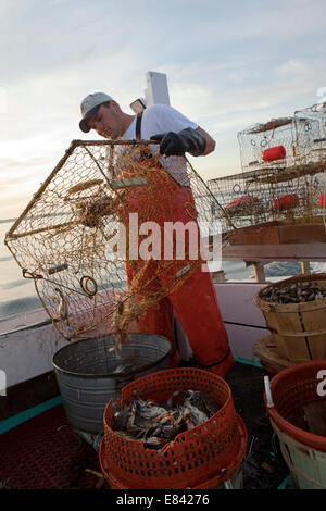 I pescatori di granchio, Tangeri isola, Eastern Shore, Maryland, Stati Uniti d'America. Foto Stock