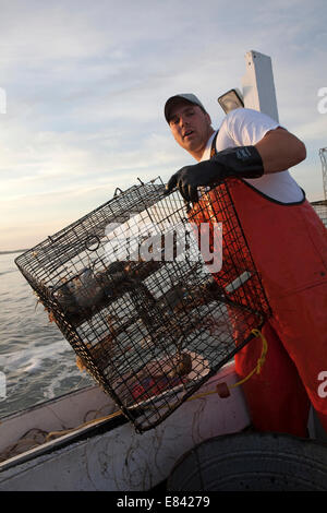 I pescatori di granchio, Tangeri isola, Eastern Shore, Maryland, Stati Uniti d'America. Foto Stock