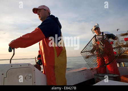 I pescatori di granchio, Tangeri isola, Eastern Shore, Maryland, Stati Uniti d'America. Foto Stock