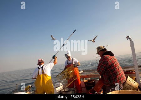 I pescatori di caricamento trappola di granchio a bordo di barche da pesca, Chesapeake Bay, Maryland, Stati Uniti d'America Foto Stock