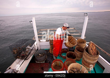 I pescatori bushel di stacking a bordo di barche da pesca, Chesapeake Bay, Maryland, Stati Uniti d'America Foto Stock