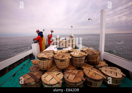 Il granchio impilati bushel e dei pescatori a bordo di barche da pesca in mare, la baia di Chesapeake, Maryland, Stati Uniti d'America Foto Stock