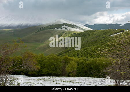 Esaminando il piano Grande, in primavera, da sud; Parco Nazionale dei Monti Sibillini, Italia. Foto Stock