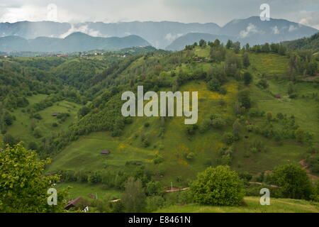 La Piatra Craiului, Piatra Craiului National Park in Carpazi Meridionali, Romania Foto Stock