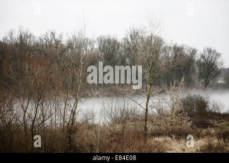 Fiume Vistola, Polonia. Foto Stock