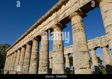 Dettaglio dell'antico greco dorico Ellenica le rovine del tempio di Segesta fondata da Enea degli Elimi. Date da 426 BC Foto Stock