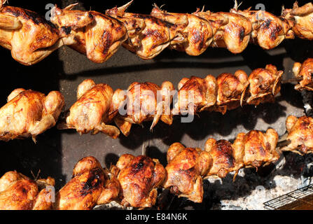 Polli arrosto su grandi carbone arrosto allo spiedo Foto Stock