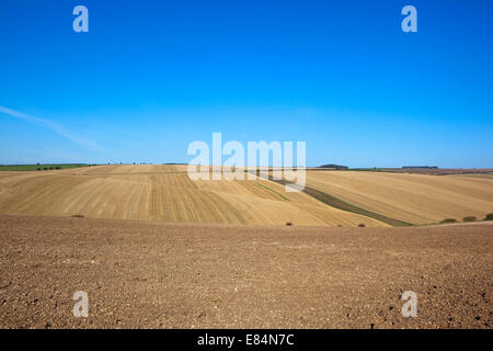 Agricola immagine di sfondo di scenic terreni agricoli al momento del raccolto sotto un cielo blu nel Yorkshire wolds Foto Stock