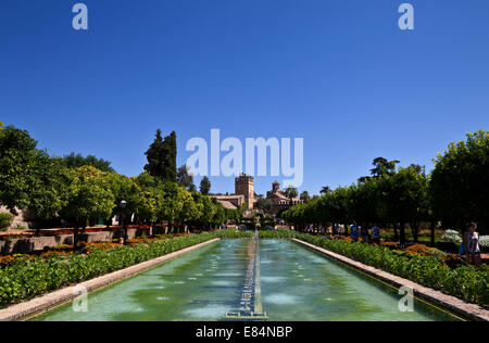 I giardini del XIV secolo Alcázar de los Reyes Cristianos, Cordoba Città, Provincia di Cordoba, Andalusia, Spagna Foto Stock