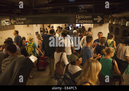 Metropolitana affollata la piattaforma a 42nd St., la Grand Central Station, New York City. Foto Stock