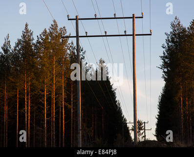 Alta tensione della linea di alimentazione passando attraverso la foresta , Finlandia Foto Stock