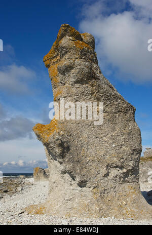 Pile di calcare chiamato Rauks a Langhammershammer Faeroeer, Gotland, Svezia e Scandinavia Foto Stock