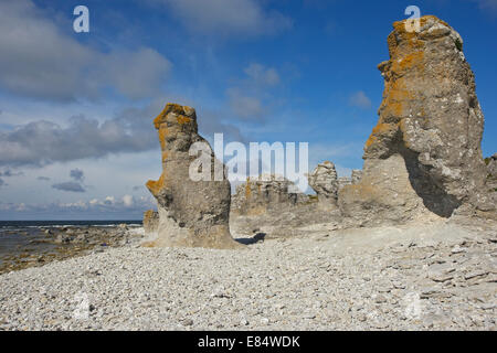 Pile di calcare chiamato Rauks a Langhammershammer Faeroeer, Gotland, Svezia e Scandinavia Foto Stock