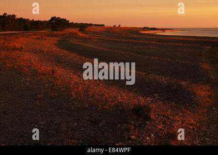 Il villaggio di pescatori Helgumannen presso sunrise vicino Langhammars su Fårö, Gotland, Svezia e Scandinavia Foto Stock