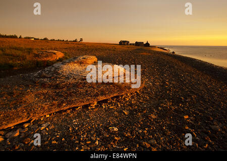 Il villaggio di pescatori Helgumannen presso sunrise vicino Langhammars su Fårö, Gotland, Svezia e Scandinavia Foto Stock