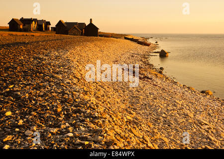 Il villaggio di pescatori Helgumannen presso sunrise vicino Langhammars su Fårö, Gotland, Svezia e Scandinavia Foto Stock